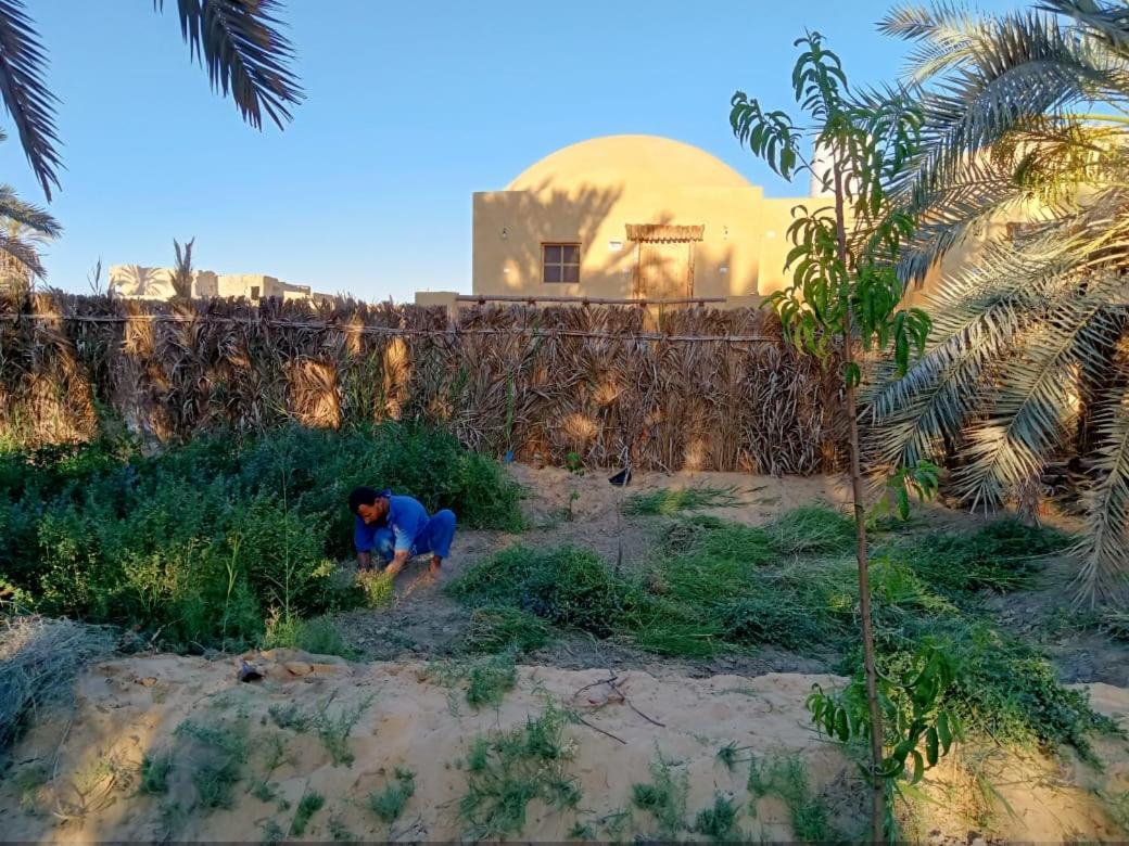Wafla Vila Siwa Oasis Exterior foto