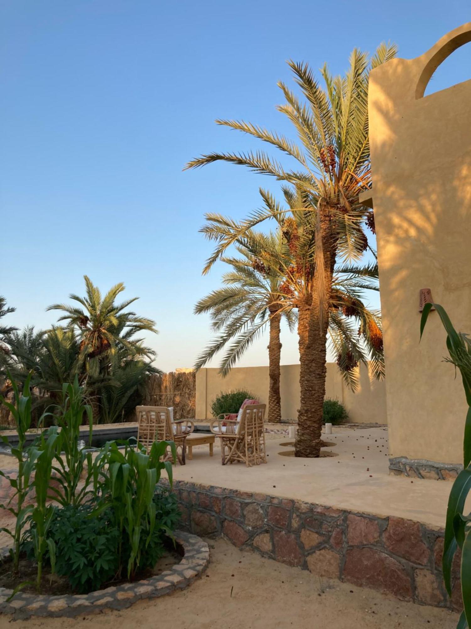 Wafla Vila Siwa Oasis Exterior foto