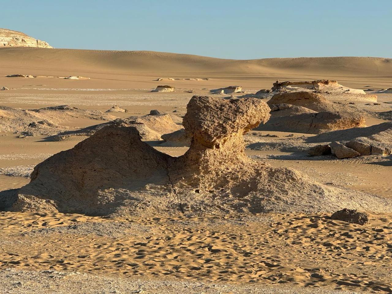 Wafla Vila Siwa Oasis Exterior foto